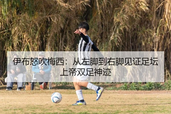 伊布怒吹梅西：从左脚到右脚见证足坛上帝双足神迹